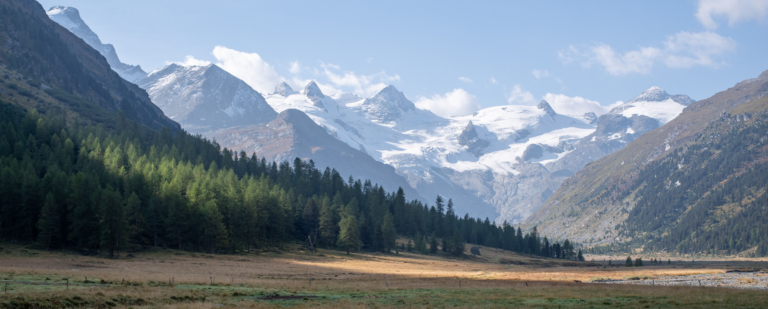 Ferienwohnung in Pontresina