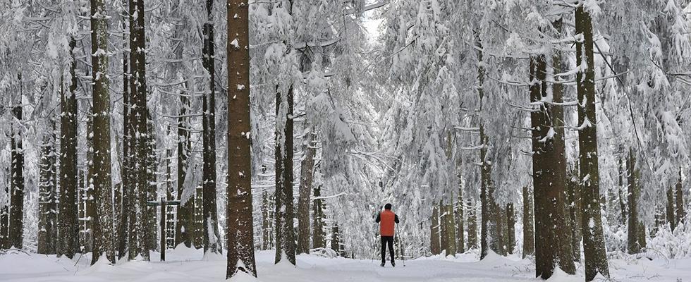 Langlauf im Engadin. Ein 16:9 Bild von einem Langläufer in einer Orangfarbenden Jacke und zwei Stöckern in der Hand. Er läuft einen Pfad entlang in einem zugeschneiten Waldstück.